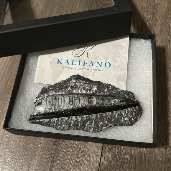 Kalifano - Natural Orthoceras Fossil From Morocco - Picture 3 of 4